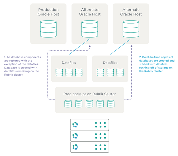 Rubrik | How to Protect Mission-Critical Oracle Databases with Rubrik