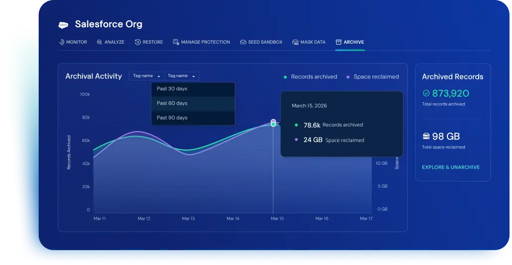 Salesforce Archive