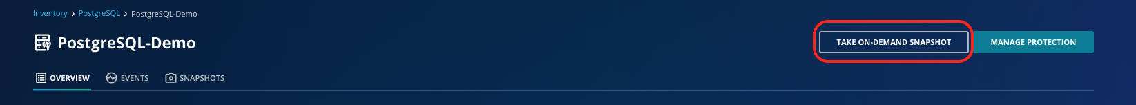 Postgresql On Demand Snapshot