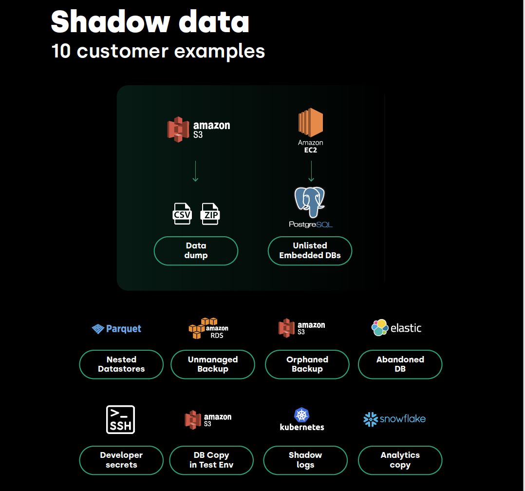 Shadow data
