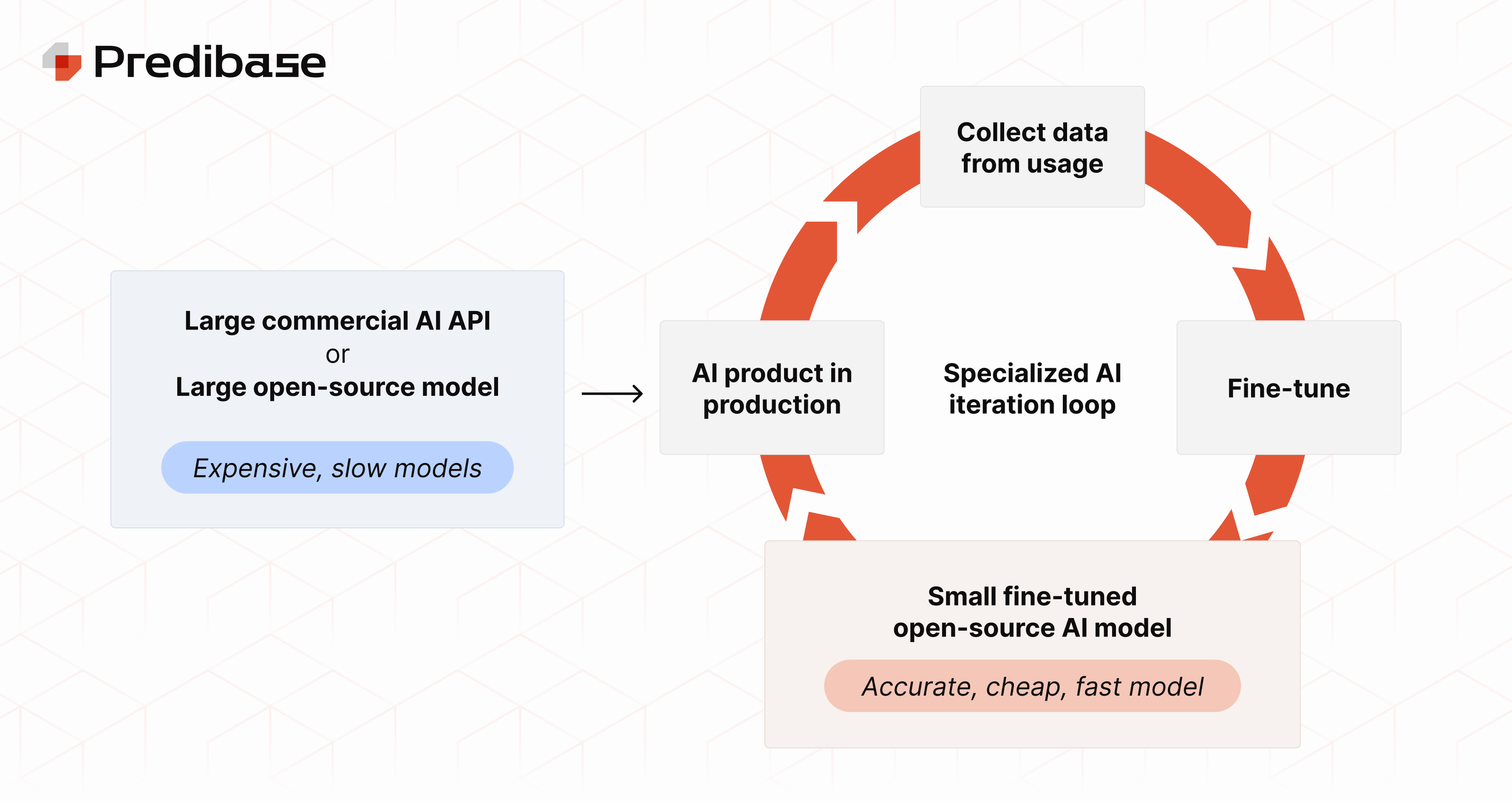 Development Lifecycle