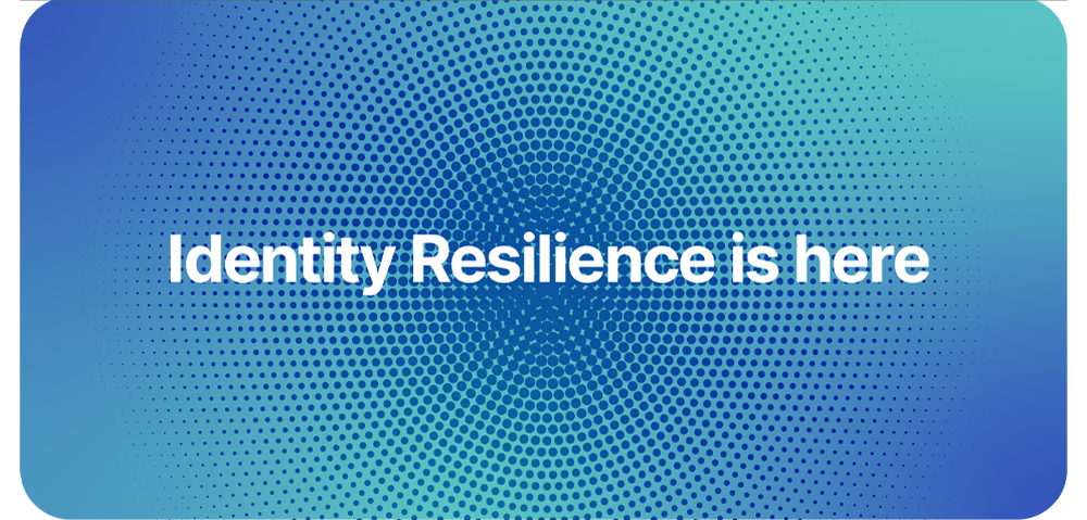 Identity Resilience