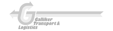 customer-active-logo__1