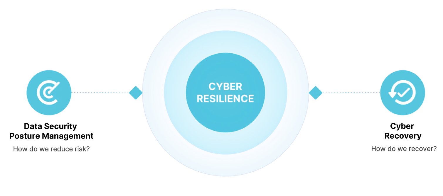 cyber resilience