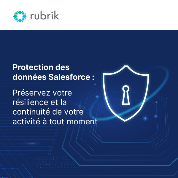 Salesforce data protection