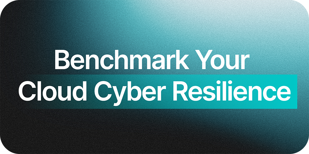 Cloud Cyber Resilience