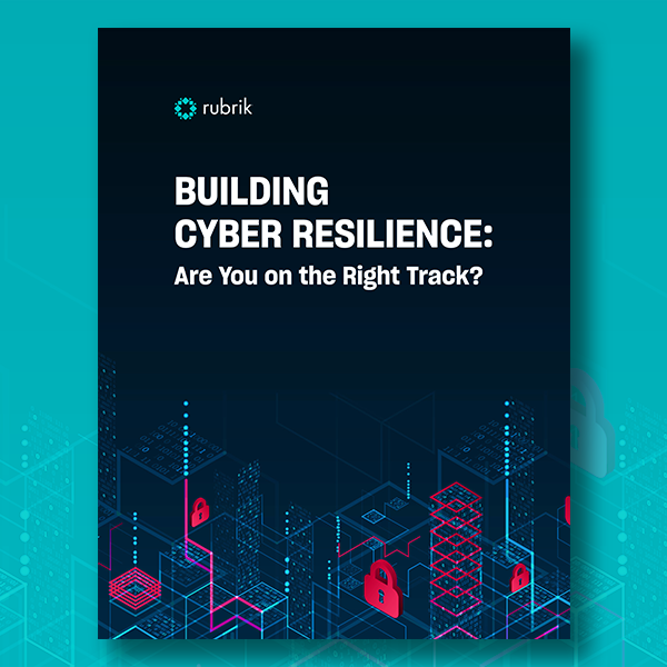 Building Cyber Resilience
