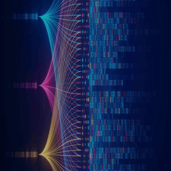 The Impact of Cyber Attacks on US Citizens