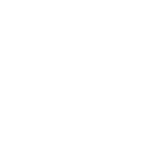 sanitarium-logo sanitarium-logo