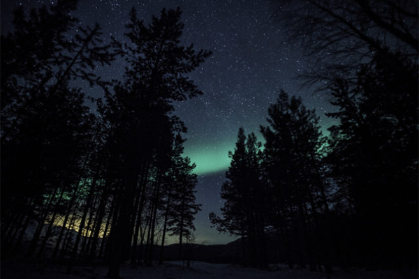 Cloud Data Management