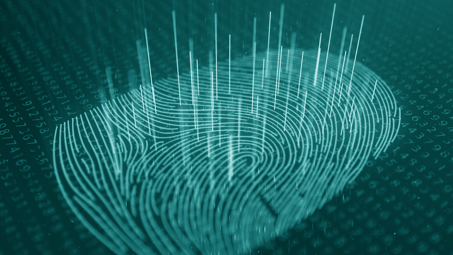 Identity resilience