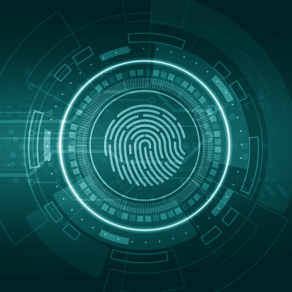 Identity security
