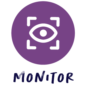 monitor