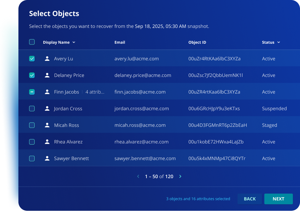 Identity recovery feature