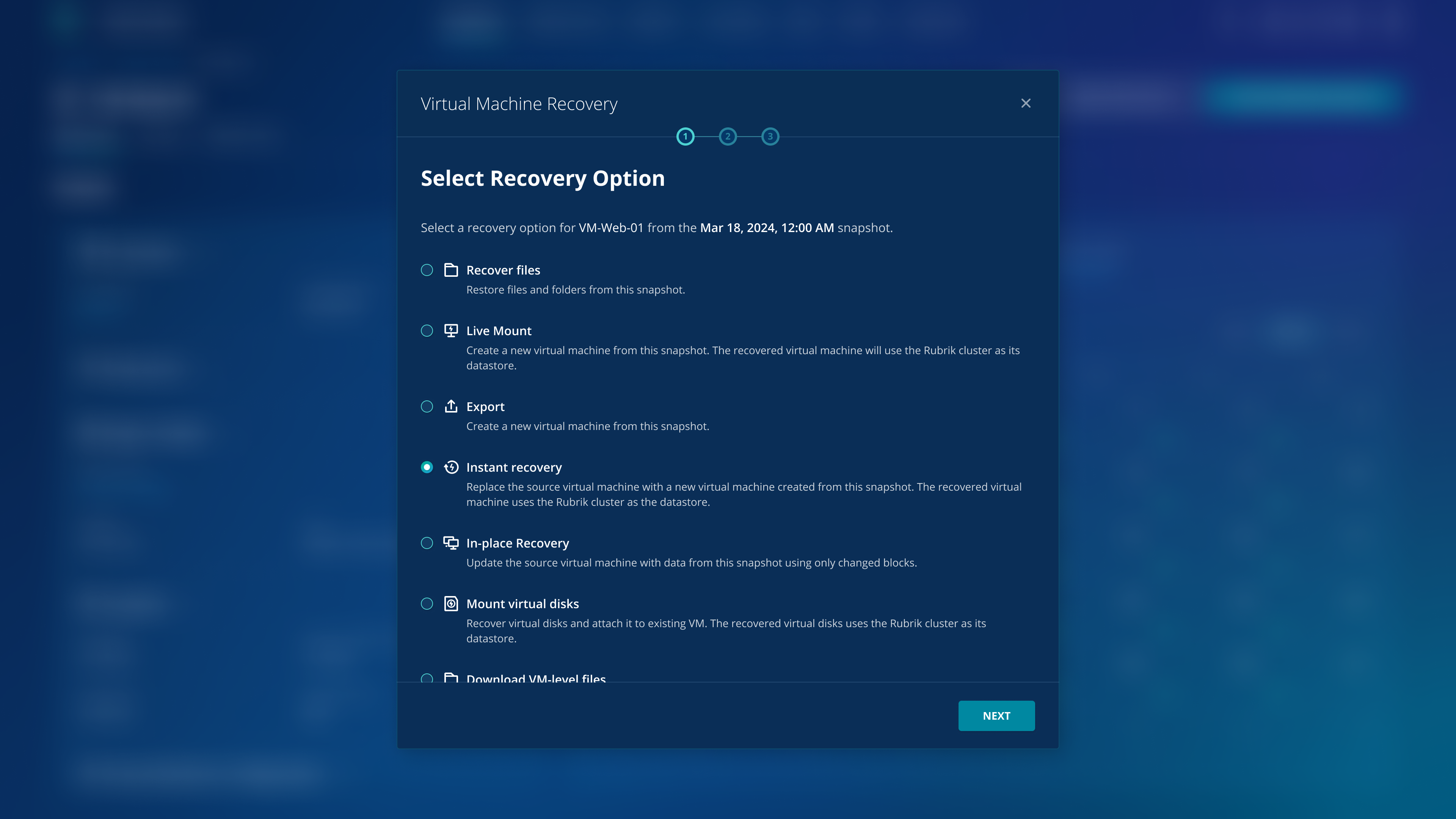 flexible recovery options